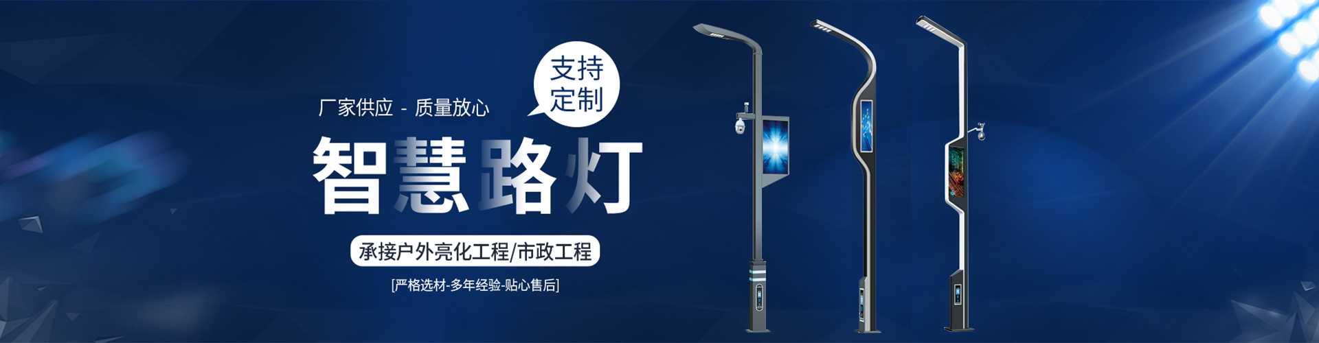 黄山区太阳能路灯定制厂家